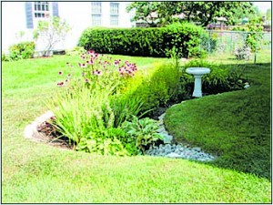 A small rain garden with native plants captures and filters runoff from rain events. Source: Vermont Low Impact Development Guide for Residential and Small Sites.