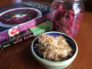 Winter growing ideas - sauerkraut and sprouts. Courtesy photos: Kay Aihla McGrenaghan Cafasso