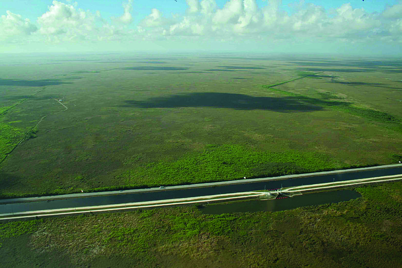 The Everglades National Park is in Carlos Curbelo’s district. (National Park Service photo, Wikimedia Commons)