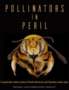 Pollinators in Peril