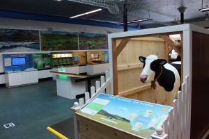 Electra, a 7’ long, talking cow built by the Imagination Company in Bethel, is the centerpiece of a Cow Power exhibit at the EIC. Photo courtesy of Green Mountain Power