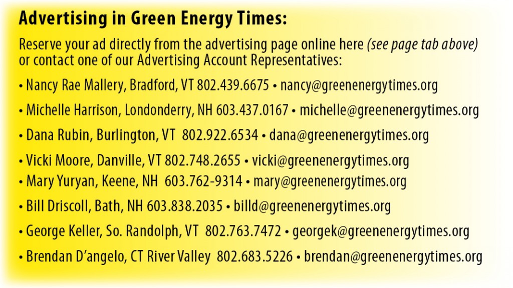 Advertising in Green Energy Times