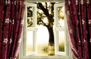 Shade trees and window treatments can keep your home naturally cooler. Photo: Shutterstock.