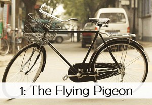flying-pigeon